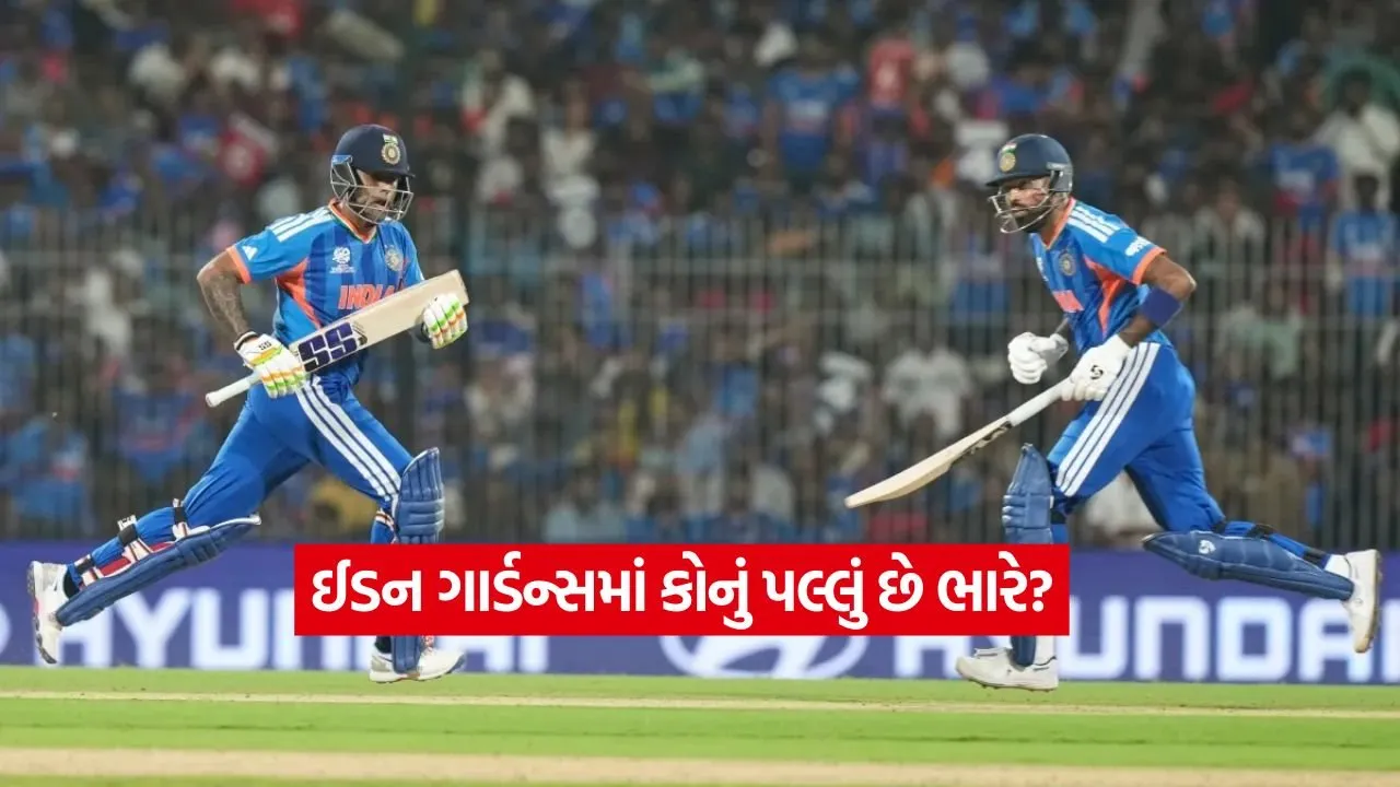 cricket5.jpg