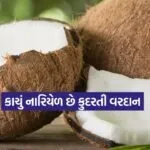 Raw Coconut 2802