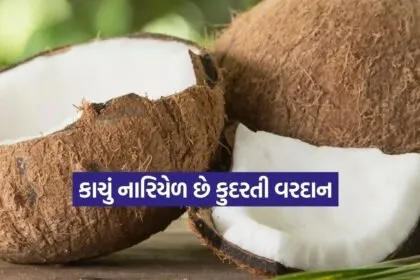 Raw Coconut 2802