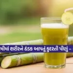 sugarcane juice 2802