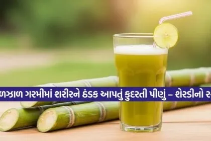 sugarcane juice 2802