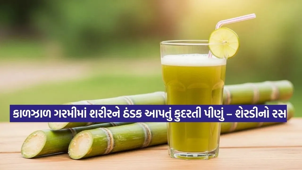 sugarcane juice 2802.jpg
