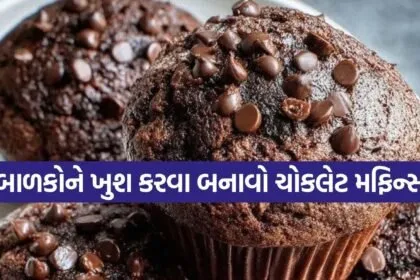 Chocolate Muffins