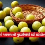 amla23