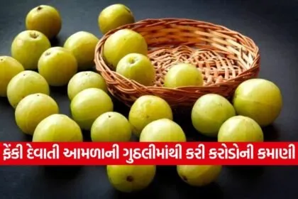 amla23