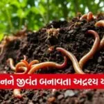 Natural Farming Earthworm Soil Fertility 1