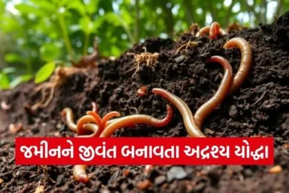 Natural Farming Earthworm Soil Fertility 1