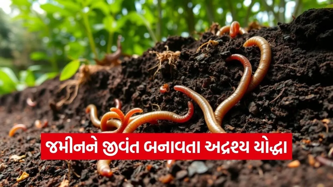 Natural Farming Earthworm Soil Fertility 1.jpg