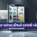 Fridge 2802