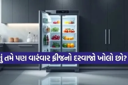 Fridge 2802