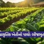 natural farming Beejamrut Method 1