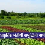 Natural Farmin Economic Model 2026 1