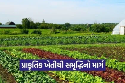 Natural Farmin Economic Model 2026 1