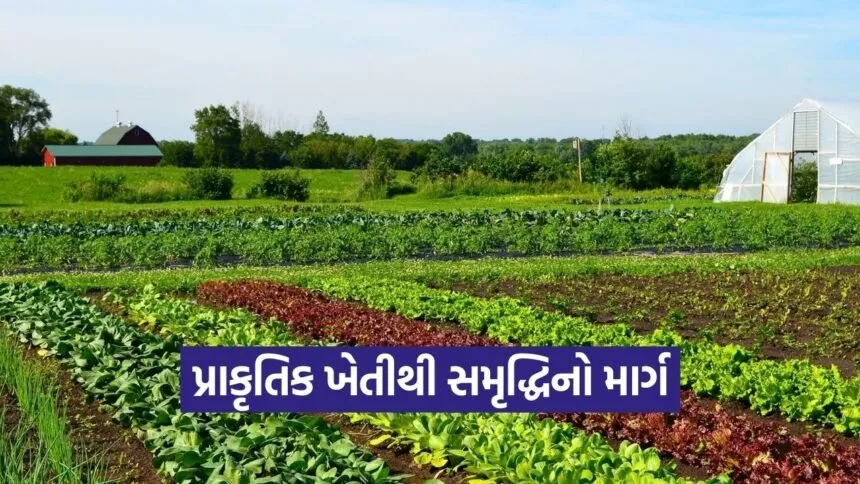 Natural Farmin Economic Model 2026 1