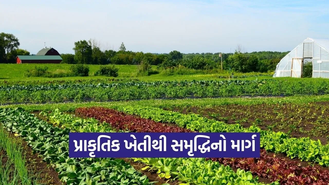 Natural Farmin Economic Model 2026 1.jpg
