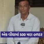 Aravalli Natural Turmeric Farming Success