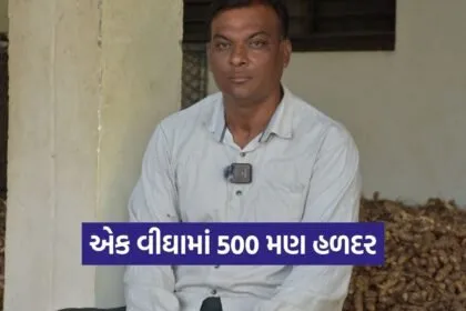 Aravalli Natural Turmeric Farming Success