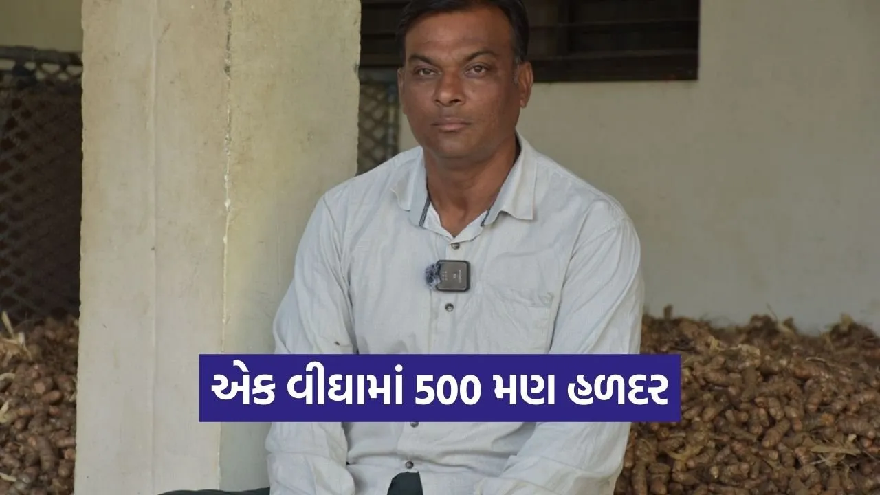 Aravalli Natural Turmeric Farming Success.jpg
