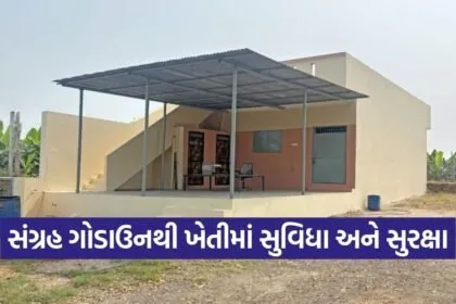 Vadodara Crop Storage Scheme Benefit 1