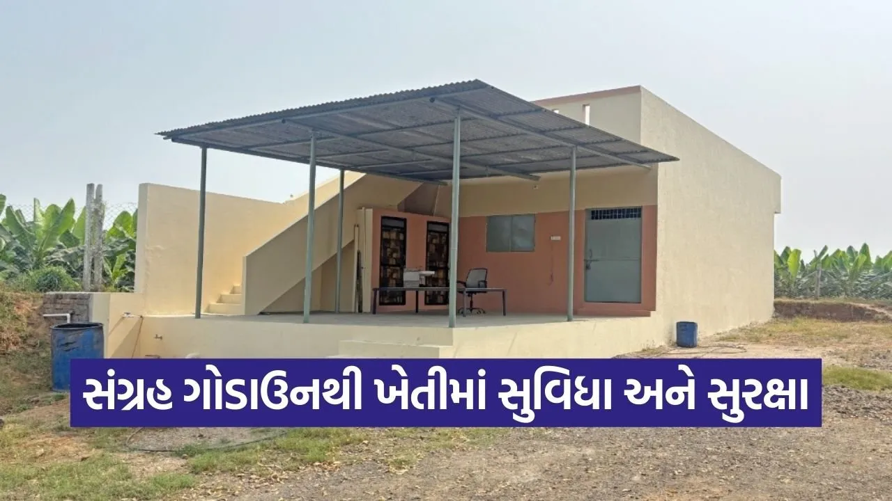 Vadodara Crop Storage Scheme Benefit 1.jpg