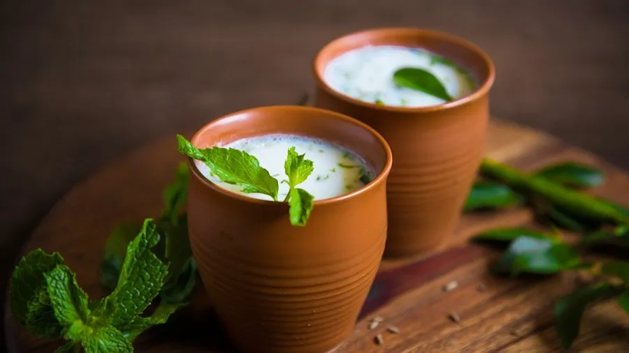 શું દહીં ખાવાથી ખરેખર કોલેસ્ટ્રોલ વધે છે? વજન ઘટાડવા માંગતા લોકો માટે છાશ કેમ છે શ્રેષ્ઠ વિકલ્પ? 3 Summer Drinks Recipes