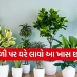 Holi 2026 Vastu Tips