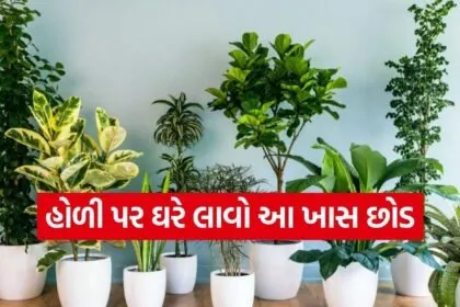 Holi 2026 Vastu Tips