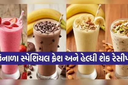Homemade shake recipes