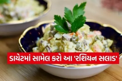Russian Salad 0303