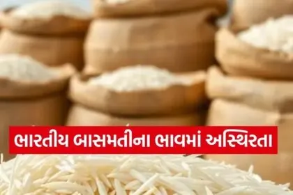 Rice 0303