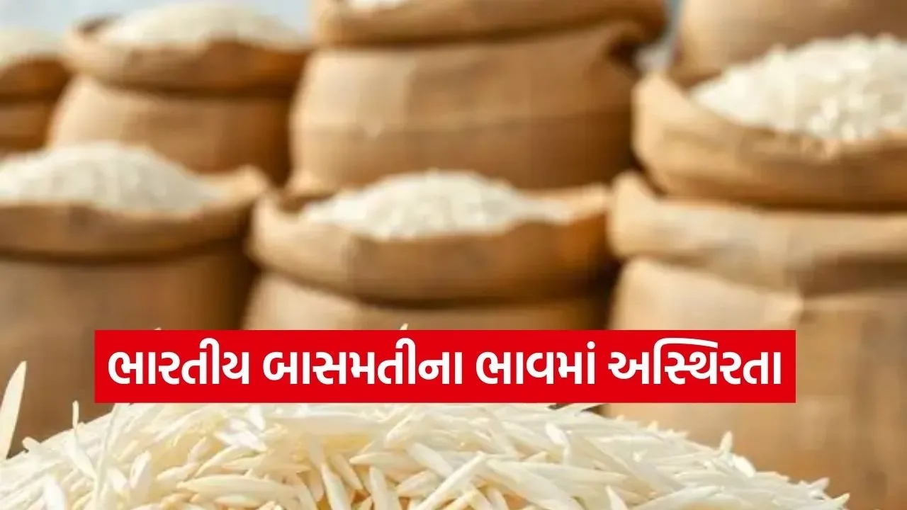 Rice 0303.jpg