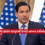 us 0303 2