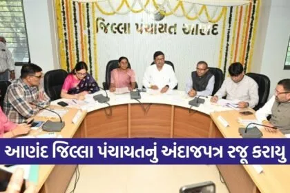 Anand District Panchayat Budget 2026 27