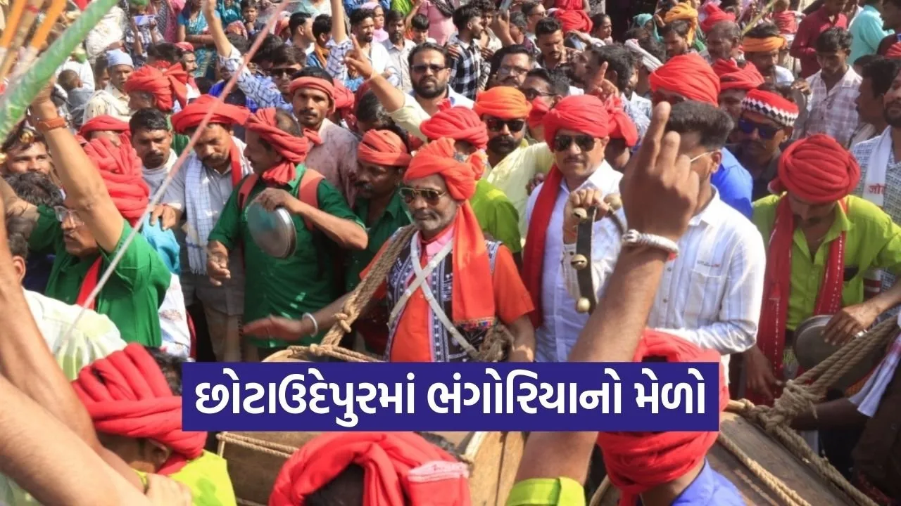 Chhotaudepur Bhongariya Mela 2026.jpg