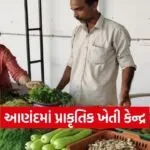 Anand Natural Farming ATIC Market 2026