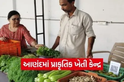 Anand Natural Farming ATIC Market 2026