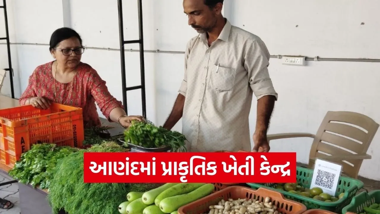Anand Natural Farming ATIC Market 2026.jpg