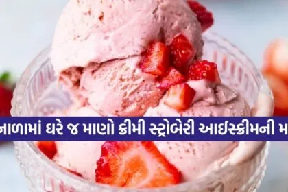 Strawberry Ice Cream