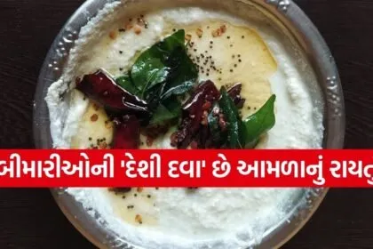 Gooseberry Raita