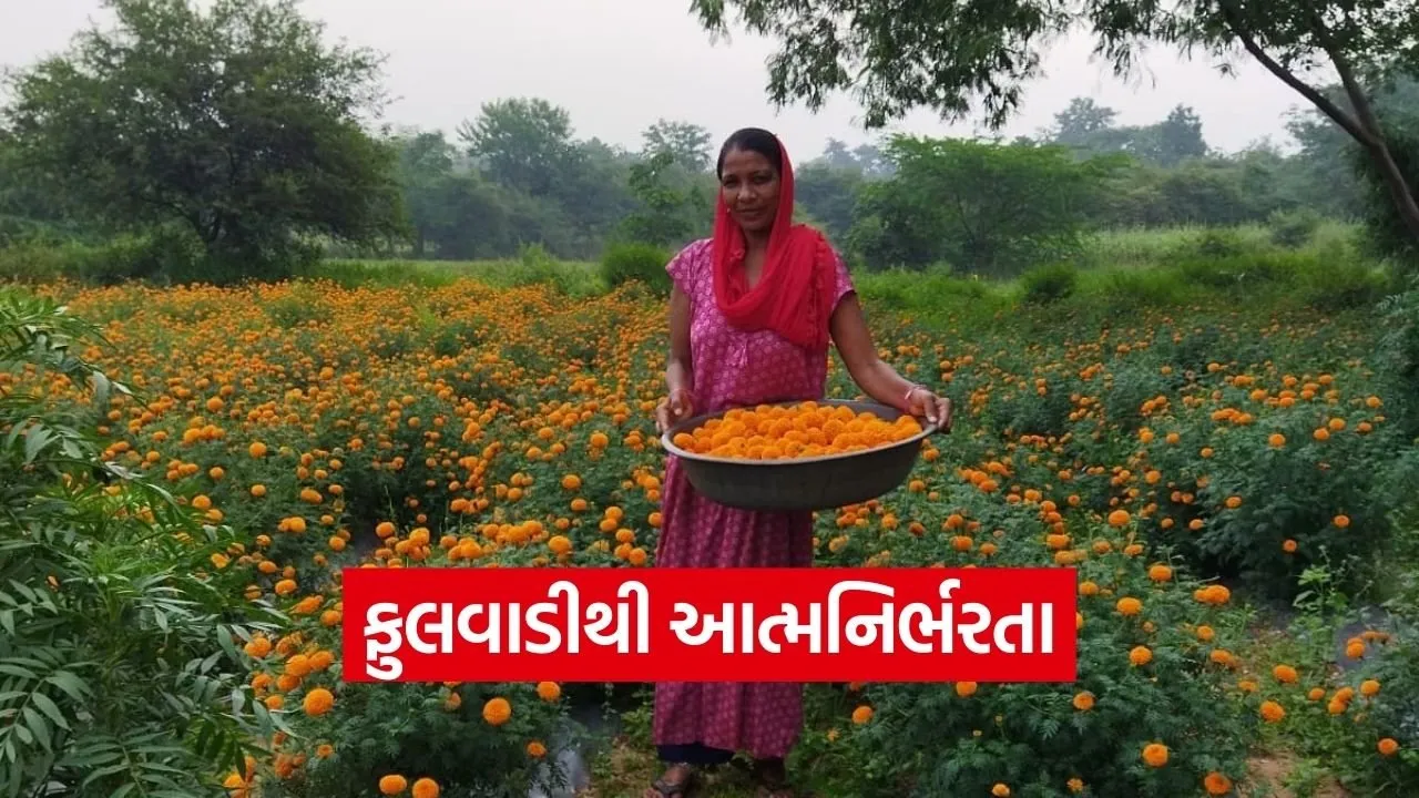 Morva Matariya Shantaben Bariya Mission Mangalam Floriculture Success 2026.jpg