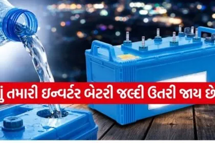 Inverter battery