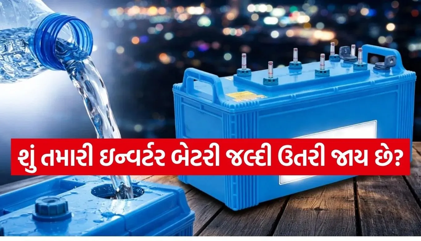 Inverter battery