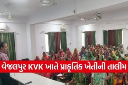 Vejalpur Natural Farming Training Panchmahal 2026