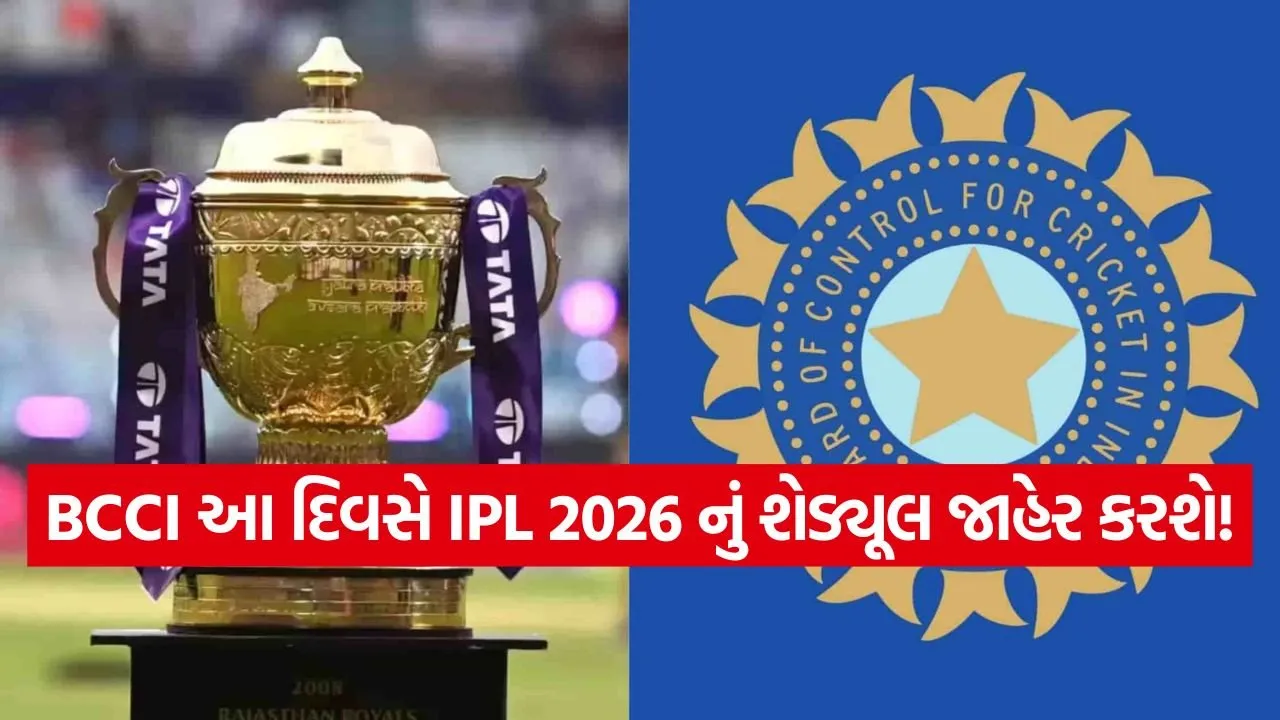 BCCI 0403.jpg