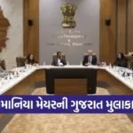 Romania Milauti Mayor Gujarat Visit 2026