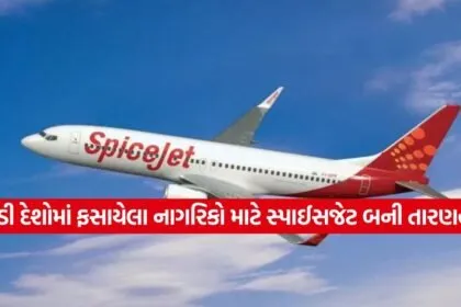 spicejet 0403