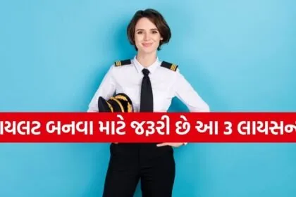 Pilot career