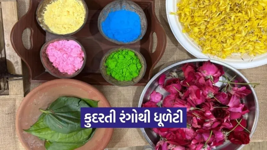 Vadodara Natural Holi Colors Women Initiative 2026 1