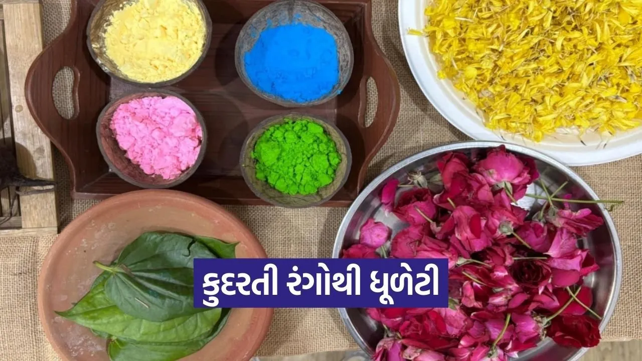 Vadodara Natural Holi Colors Women Initiative 2026 1.jpg