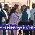 Gandhinagar Collector Mehul K Dave Farewell 2026
